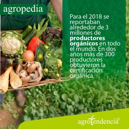 Agricultura orgánica - Persona con cesta de vegetales, hortalizas y hongos