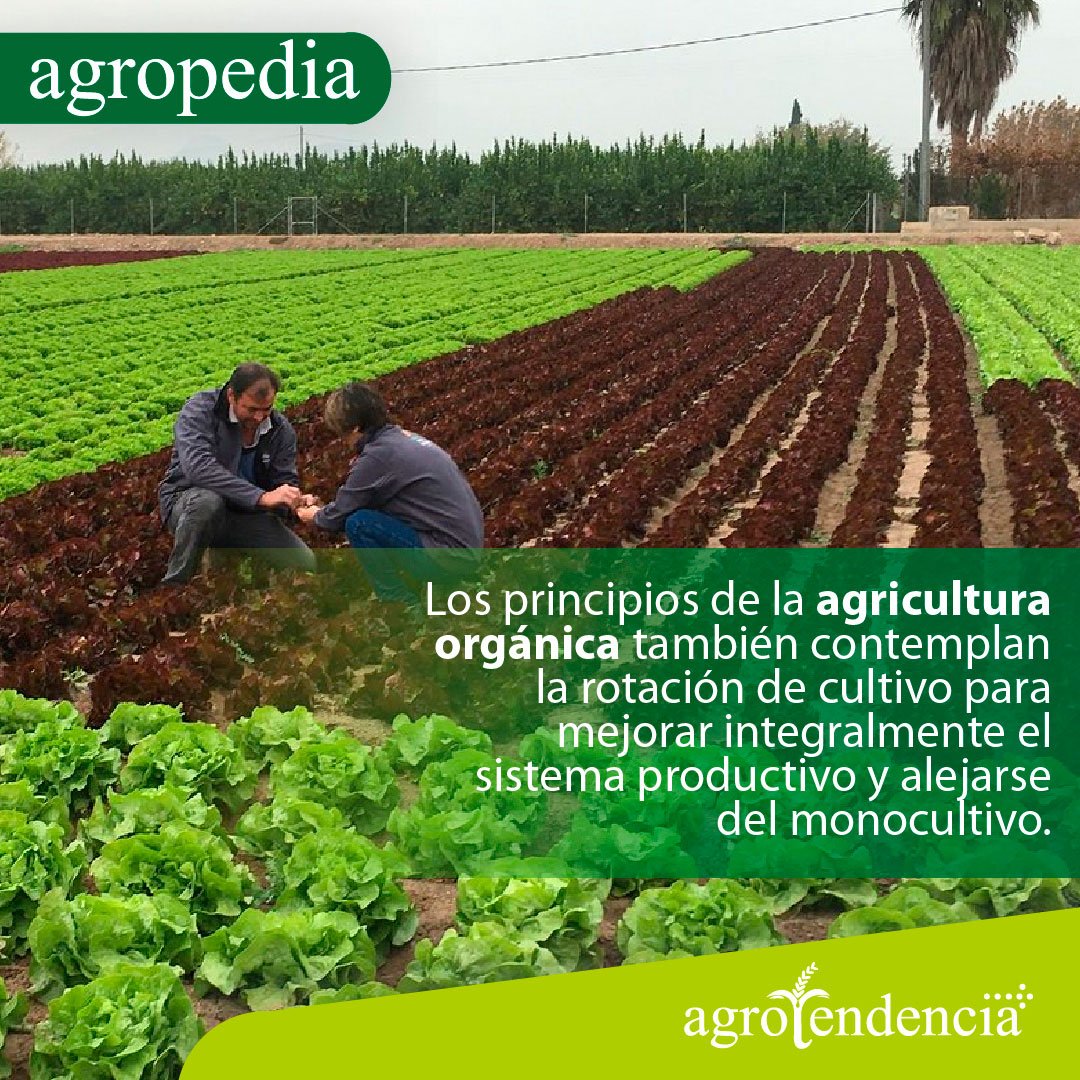 Morfología y comportamiento de las - Agricultura orgánica.