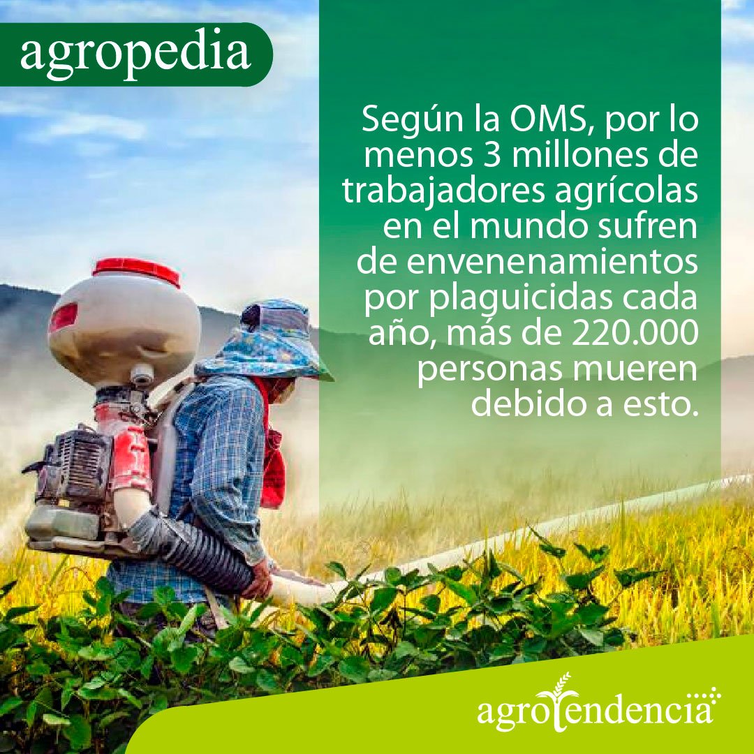 Agricultura orgánica - Persona aplicando químicos a cultivos
