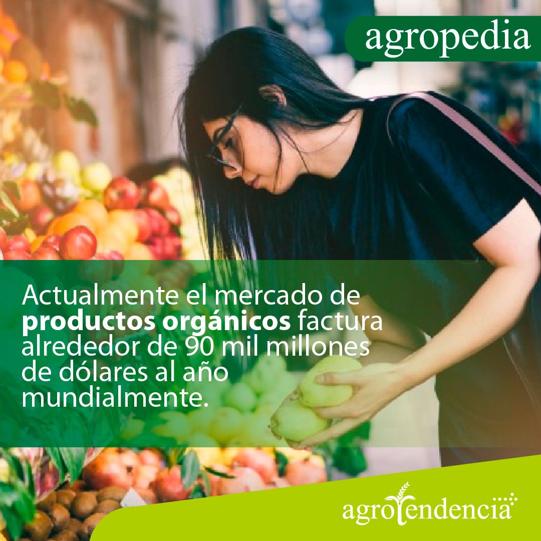 Agricultura orgánica - Mujer tomando dos peras de una venta de frutas