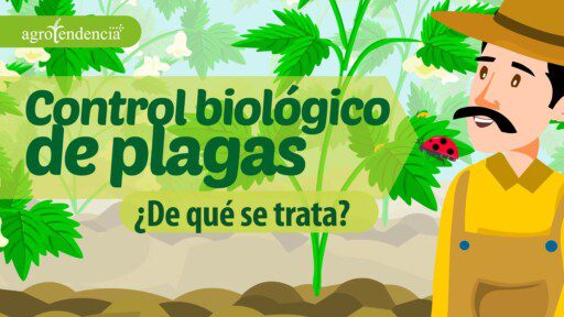Control Biológico