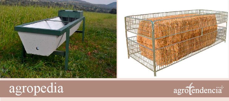 Oveja - Foto izquierda un bebedero largo, foto derecha estructura entrelazada para la alimentación de las ovejas