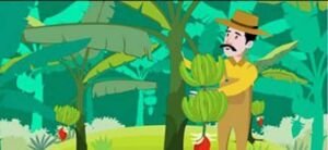 Banano