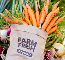 Agricultura orgánica - Zanahorias producidas en agricultura orgánica dentro de bolsa de papel