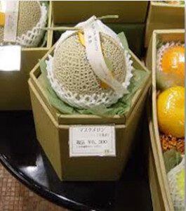 Melón - Cultivo del melón - Manejo del cultivo de melón - Beneficios del melón - Plagas y enfermedades del cultivo de melón - Cosecha del melón - Usos del melón - Variedades de melón