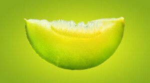 Melón - Cultivo del melón - Manejo del cultivo de melón - Beneficios del melón - Plagas y enfermedades del cultivo de melón - Cosecha del melón - Usos del melón