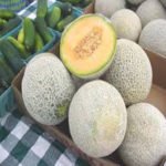 Melón - Cultivo del melón - Manejo del cultivo de melón - Beneficios del melón - Plagas y enfermedades del cultivo de melón - Cosecha del melón - Usos del melón - Variedades de melón