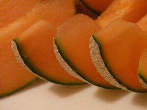 Melón - Cultivo del melón - Manejo del cultivo de melón - Beneficios del melón - Plagas y enfermedades del cultivo de melón - Cosecha del melón - Usos del melón - Variedades de melón