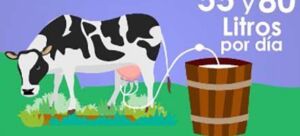 Leche Ganadera