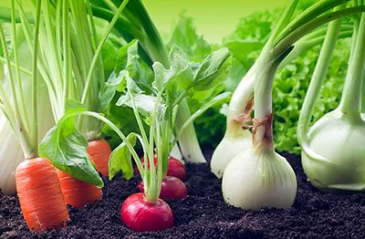 agricultura orgánica - beneficios