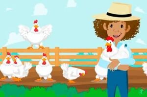 Pollos de Engorde