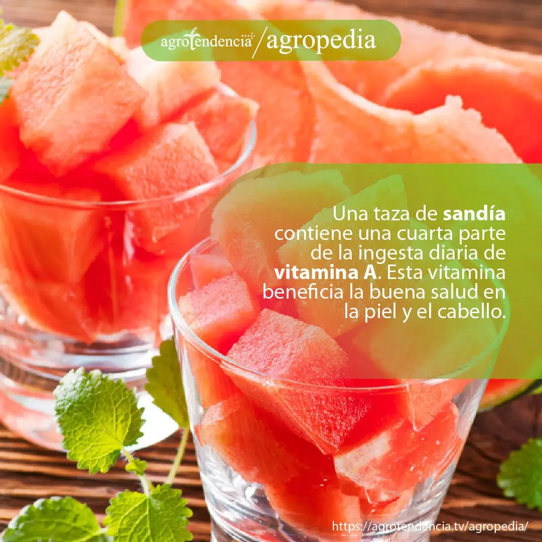 Patilla - Vasos de cristales con trozos de patilla roja