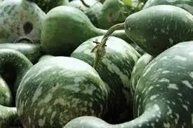 Patilla - Sandías deformadas