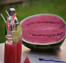 Patilla - Cultivo de sandía - Cultivo de la patilla - Cosecha de la patilla - Usos de la patilla - Plagas y enfermedades de la patilla - Variedades de patilla