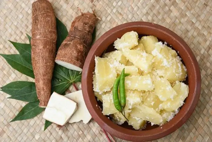 Cultivo de yuca - Yuca cruda de adorno a un plato con yuca sancochada 