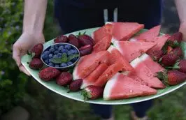 Patilla - Cultivo de sandía - Cultivo de la patilla - Cosecha de la patilla - Usos de la patilla - Plagas y enfermedades de la patilla