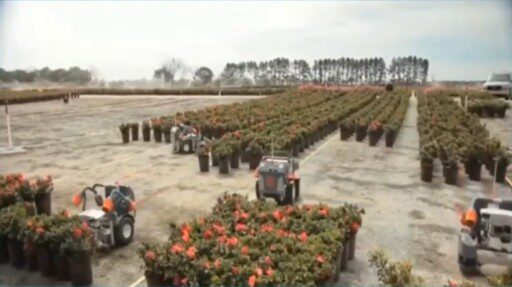 Robots trabajando en el sector agrícola