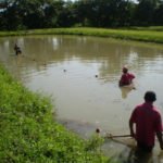 Acuicultura - Beneficios de la acuicultura