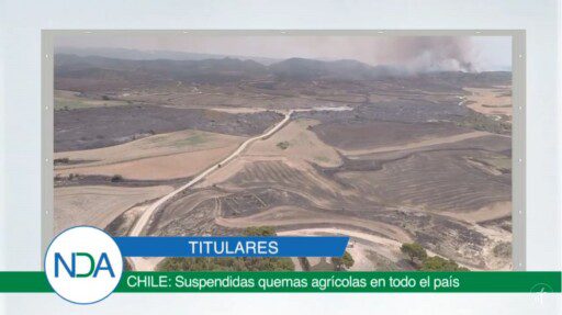 Noticias Del Agro Emisión 25 de octubre 2019