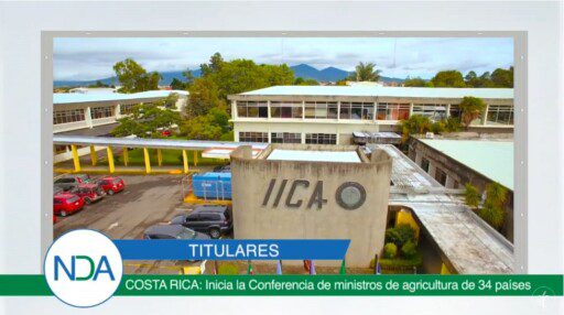 Noticias Del Agro Emisión 29 de octubre 2019