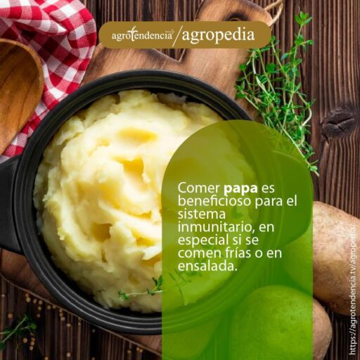 Cultivo de papa - Un plato con puré de papa y dos papas adornando