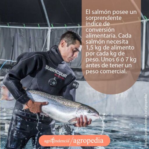 hombre con un salmón en sus brazos