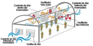 Invernadero - Tipos de invernaderos - Ventajas y desventajas de los invernaderos