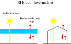 Invernadero - Tipos de invernaderos - Ventajas y desventajas de los invernaderos