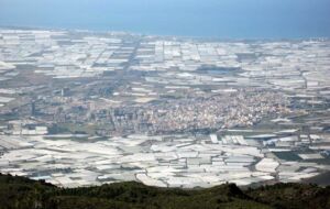 Invernadero - Tipos de invernaderos - Ventajas y desventajas de los invernaderos