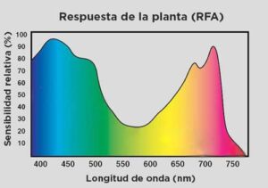 Invernadero - Tipos de invernaderos - Ventajas y desventajas de los invernaderos
