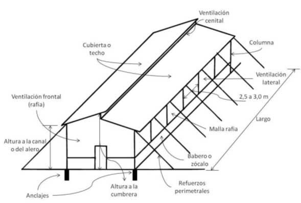 Elementos principales de la estructura de un invernadero