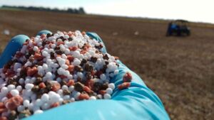 Fertilizante - fertilizantes - Usos de los fertilizantes - Importancia de los fertilizantes para los cultivos - Tipos de fertilizantes