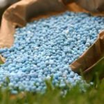 Fertilizante - fertilizantes - Usos de los fertilizantes - Importancia de los fertilizantes para los cultivos