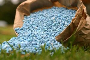 Fertilizante - fertilizantes - Usos de los fertilizantes - Importancia de los fertilizantes para los cultivos