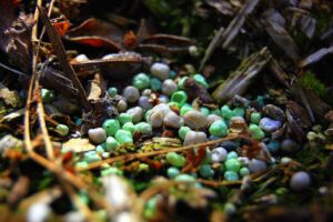 Fertilizante - fertilizantes - Usos de los fertilizantes - Importancia de los fertilizantes para los cultivos - Tipos de fertilizantes