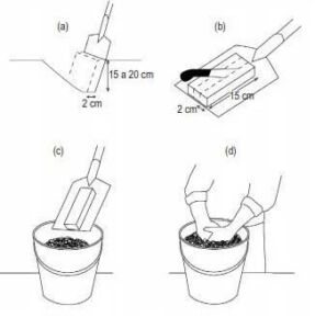 Fertilizante - fertilizantes - Usos de los fertilizantes - Importancia de los fertilizantes para los cultivos - Tipos de fertilizantes