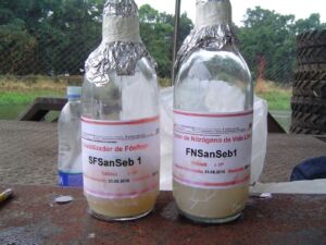 Fertilizante - fertilizantes - Usos de los fertilizantes - Importancia de los fertilizantes para los cultivos
