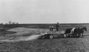 Fertilizante - fertilizantes - Usos de los fertilizantes - Importancia de los fertilizantes para los cultivos