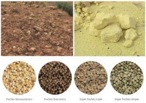 Fertilizante - fertilizantes - Usos de los fertilizantes - Importancia de los fertilizantes para los cultivos