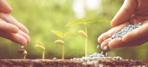 Fertilizante - fertilizantes - Usos de los fertilizantes