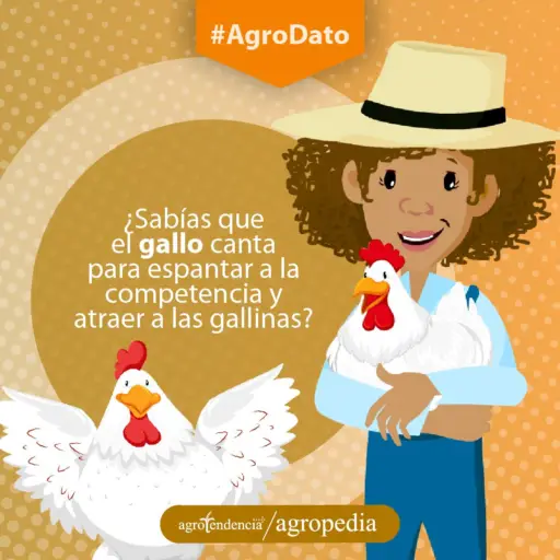 Dibujo de mujer sosteniendo una gallina y un gallo con las alas abiertas