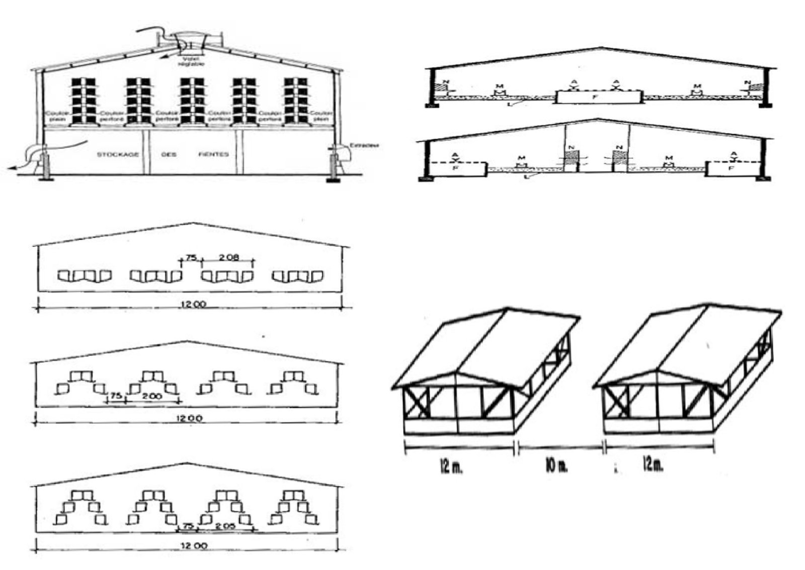 Ilustración de galpones para producción