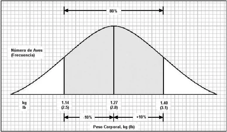 Curva de productividad de un galpón de gallinas