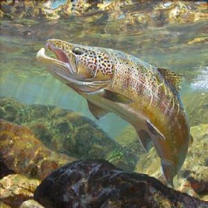 Cría del salmón - Cultivo del salmón - Salmón - Manejo de la cría del salmón - Alimentación del salmón - Enfermedades del salmón - Bondades de la carne del salmón - Reproducción del salmón