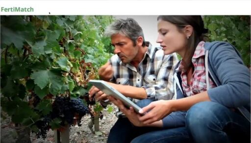 Conoce cuanto fertilizante necesita tu cultivo