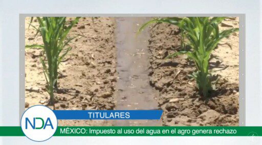 Noticias Del Agro Emisión 21 de octubre 2019