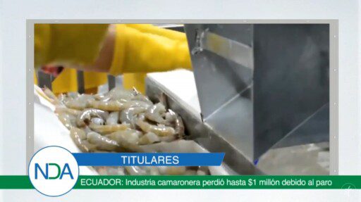 Noticias Del Agro Emisión 23 de octubre 2019