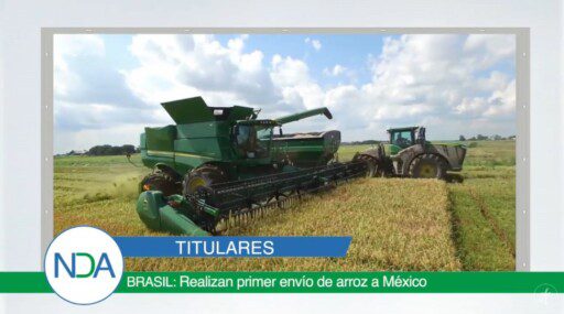 Noticias Del Agro Emisión 14 de noviembre 2019