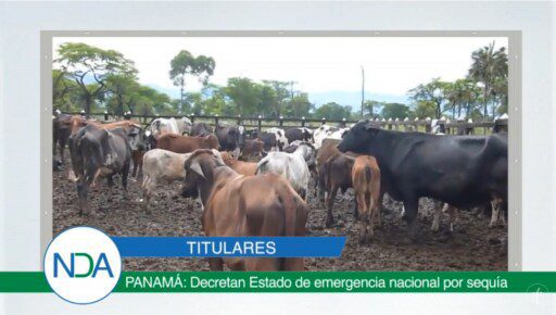 Noticias Del Agro Emisión 30 de octubre 2019