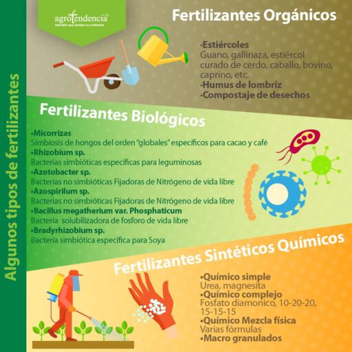 dibujo y descripción de los tipos y características de los fertilizantes